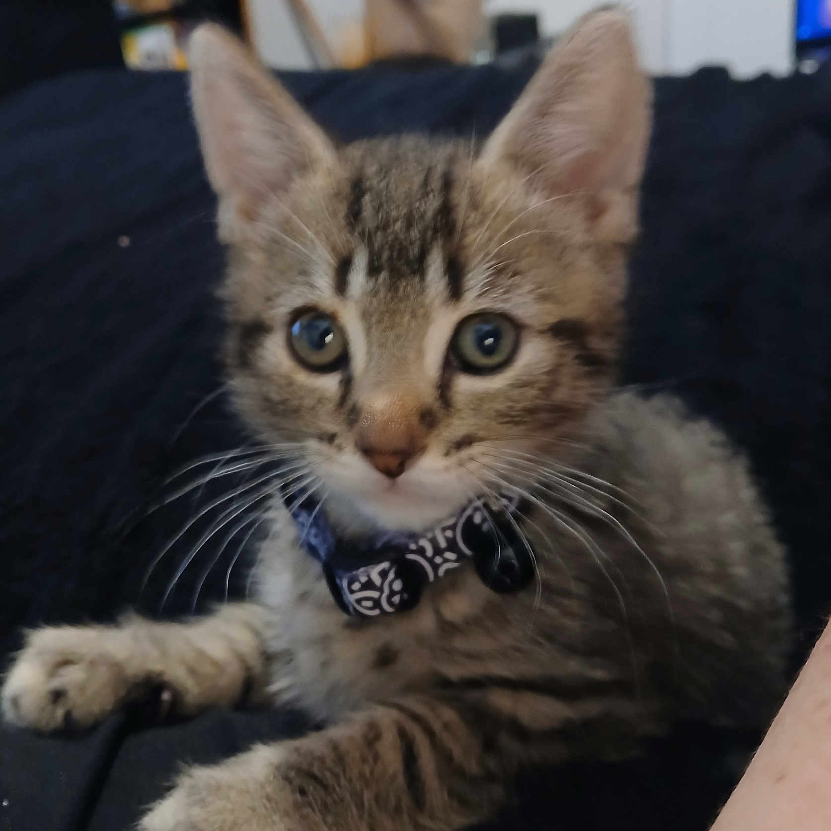 Leela