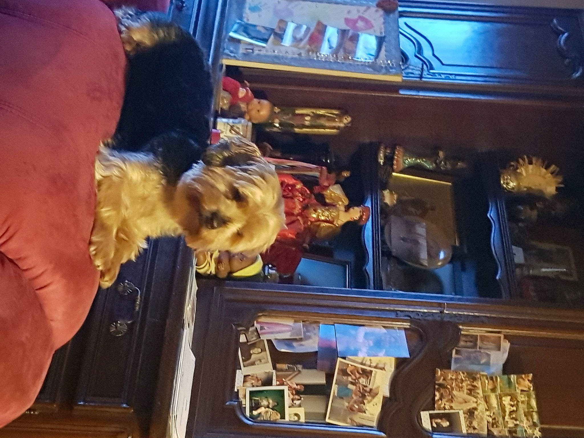 Lilly participe au concours pour gagner de l'argent avec cette photo : delicacy, display_case, fast_food, food, fun, hat, machine, snack