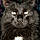 Tabitha