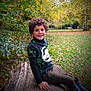 child, boy, curly_hair, smile, tree_stump, autumn, fall_foliage, park, outdoor, grass, leaves, dinosaur_shirt, casual_clothing, nature, daylight, person, happy, sitting, greenery, trees