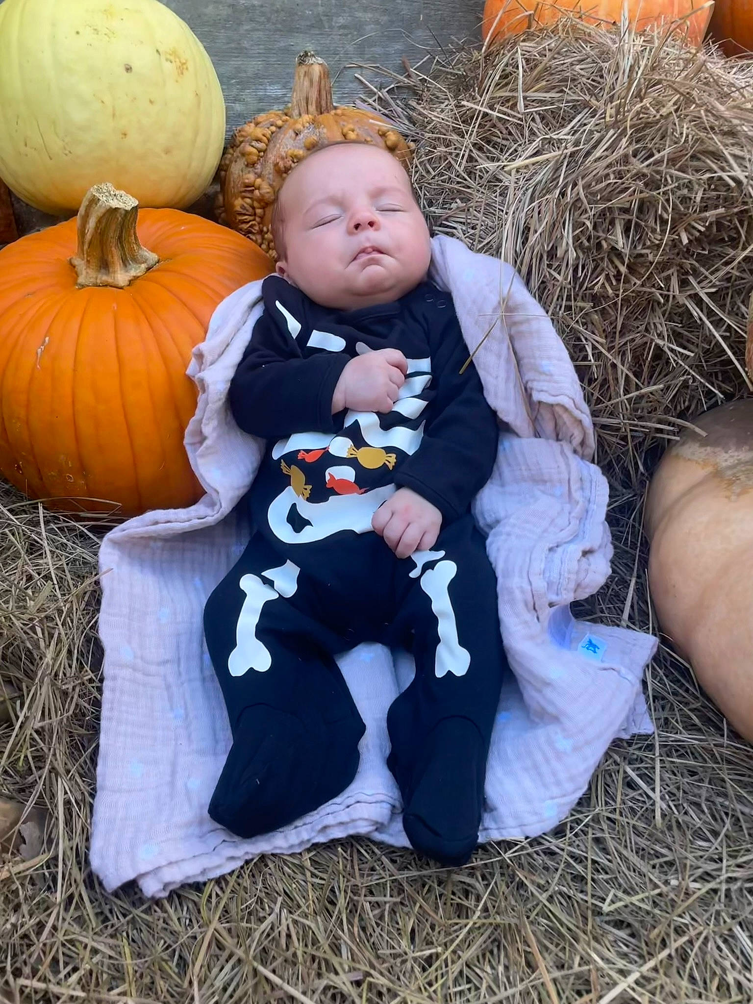 Grant joined the competition — help win amazing prizes! baby_toddler_clothing, calabaza, child, cucurbita, fur, gourd, grass, happy, hay, head, natural_foods, people_in_nature, person, plant, pumpkin, sitting, squash, toddler, vegetable, whole_food