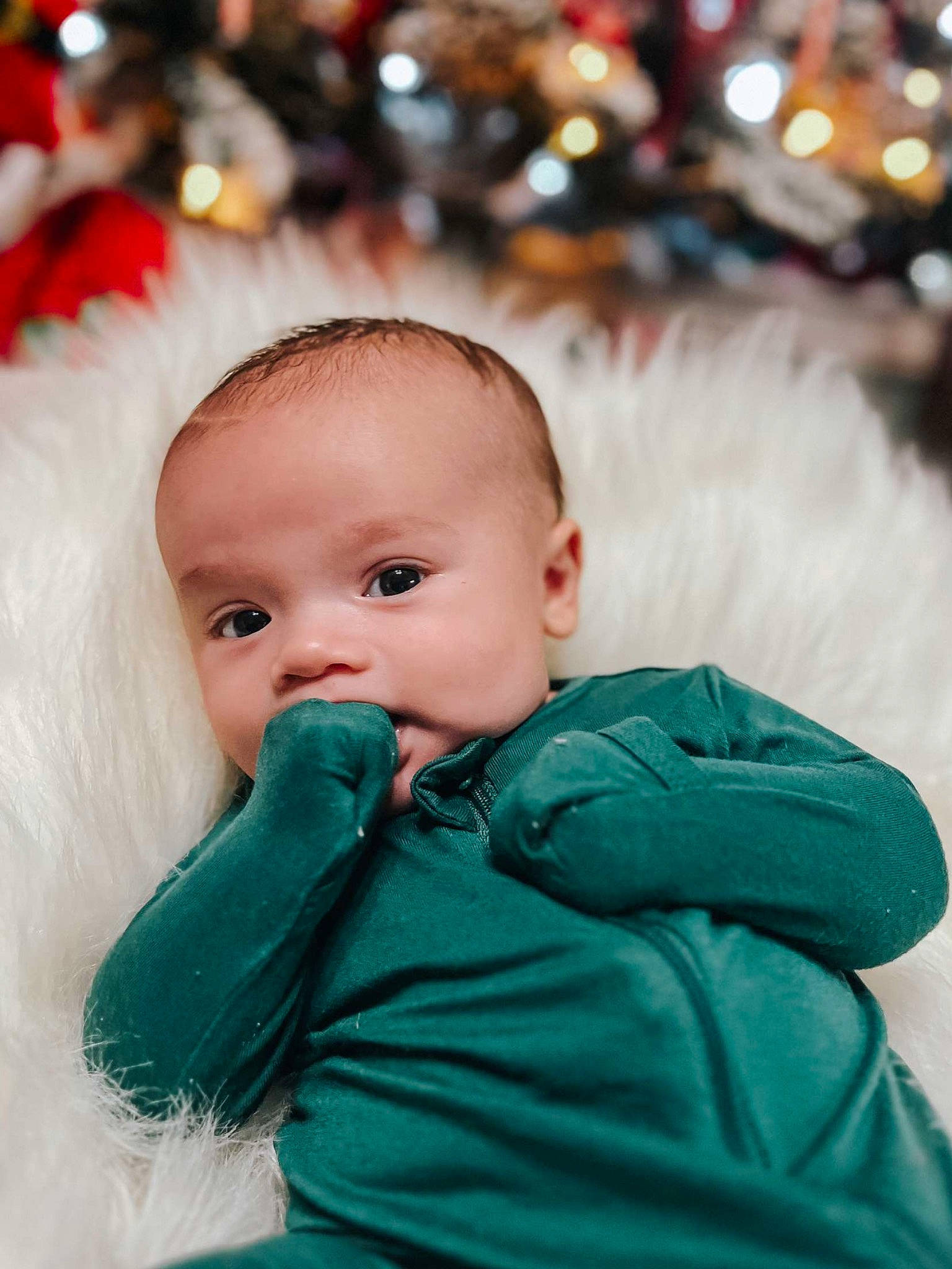 Declan is registered to the contest to win money with this photo: baby, baby_toddler_clothing, child, christmas, event, eye, face, facial_expression, fun, fur, grass, hair, hairstyle, happy, head, holiday, person, sitting, toddler, tree