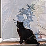 animal, black_cat, cat, cozy, curtain, daylight, domestic, feline, indoor, nature_shadow, pet, plant_shadow, quiet, relaxing, resting, shadow, silhouette, sunlight, window, windowsill