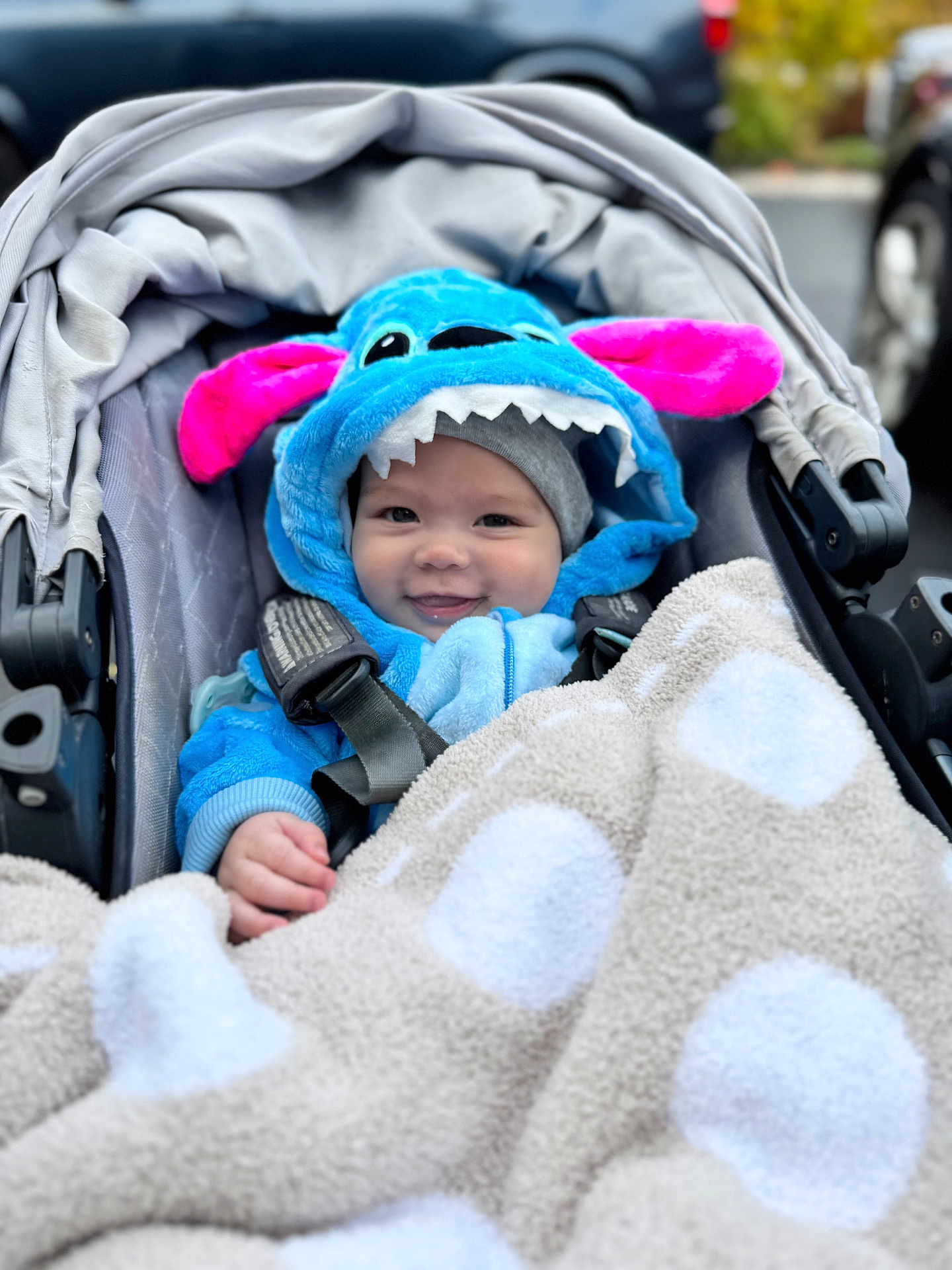 Grayson joined the competition — help win amazing prizes! baby, child, stroller, blanket, hoodie, blue, pink, smile, face, cute, outdoor, warm, clothing, infant, polka_dot, seatbelt, baby_clothes, happy, portrait, headwear