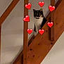 cat, tuxedo_cat, stairs, wooden_stairs, railing, hearts_emoji, emoji_overlay, indoor, pet, feline, peek, sitting, home_interior, low_light, blurry, vertical_photo, cozy, wall, timber, portrait