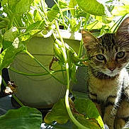 GRANADA participe au concours pour gagner de l'argent avec cette photo :