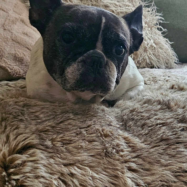 Nelly