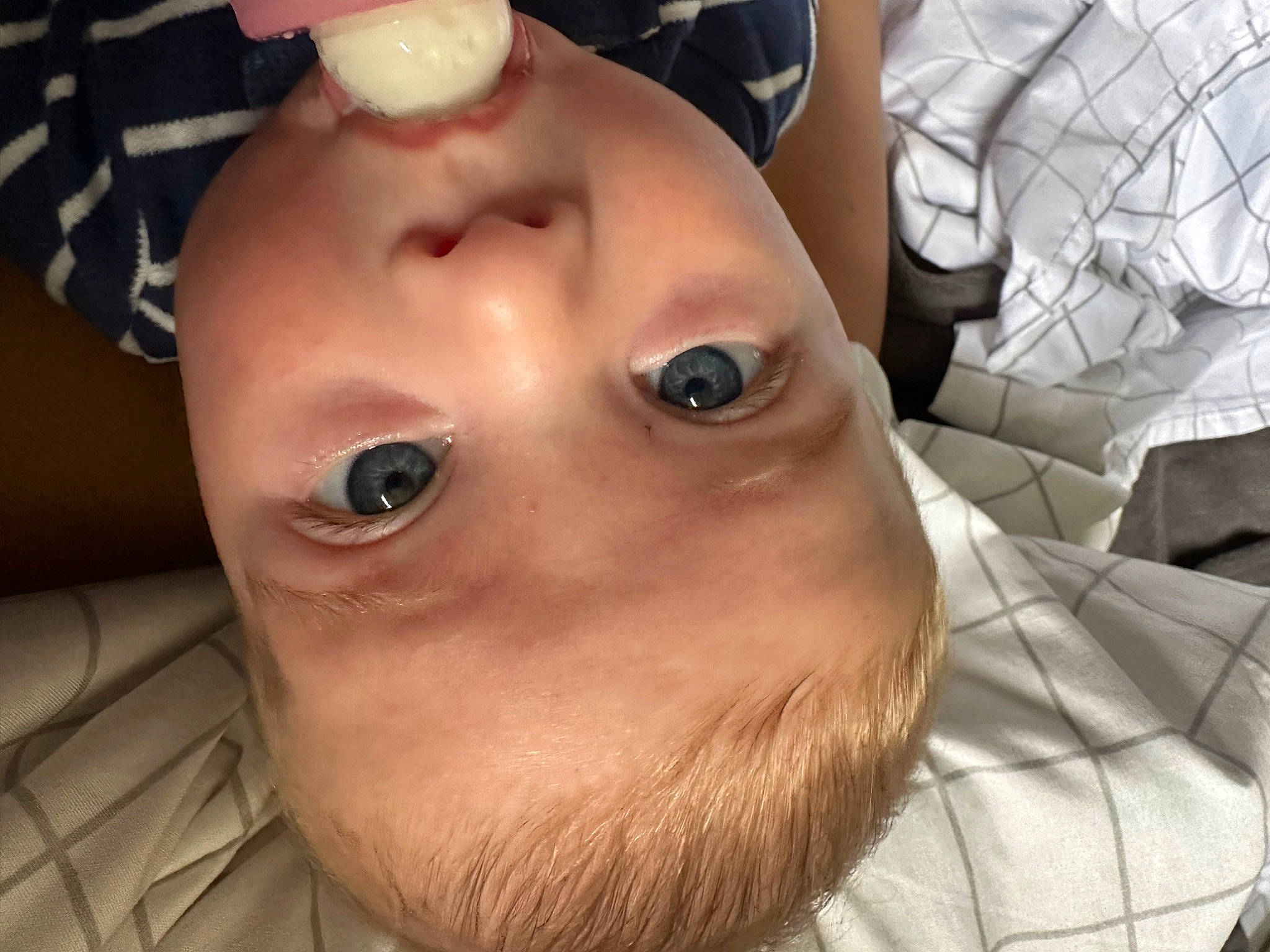 Tiger joined the competition — help win amazing prizes! beard, black_hair, cheek, chest, ear, eye, eyebrow, eyelash, forehead, gesture, iris, jaw, lip, mouth, neck, nose, person, selfie, skin, smile