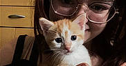 Loki a rejoint le concours — aidez-le/la à gagner de superbes lots ! person, kitten, cat, glasses, hand, indoor, cabinet, toy_car, curious, smile, closeup, cute, pet, feline, orange_cat, white_cat, young_animal, holding, portrait, home