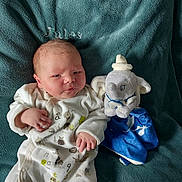 Jules participe au concours pour gagner de l'argent avec cette photo : baby, newborn, infant, plush_toy, dumbo, blanket, onesie, soft_texture, cute, sleepy, child, lying_down, cozy, nursery, stuffed_animal, blue, white_clothing, face, hand, foot