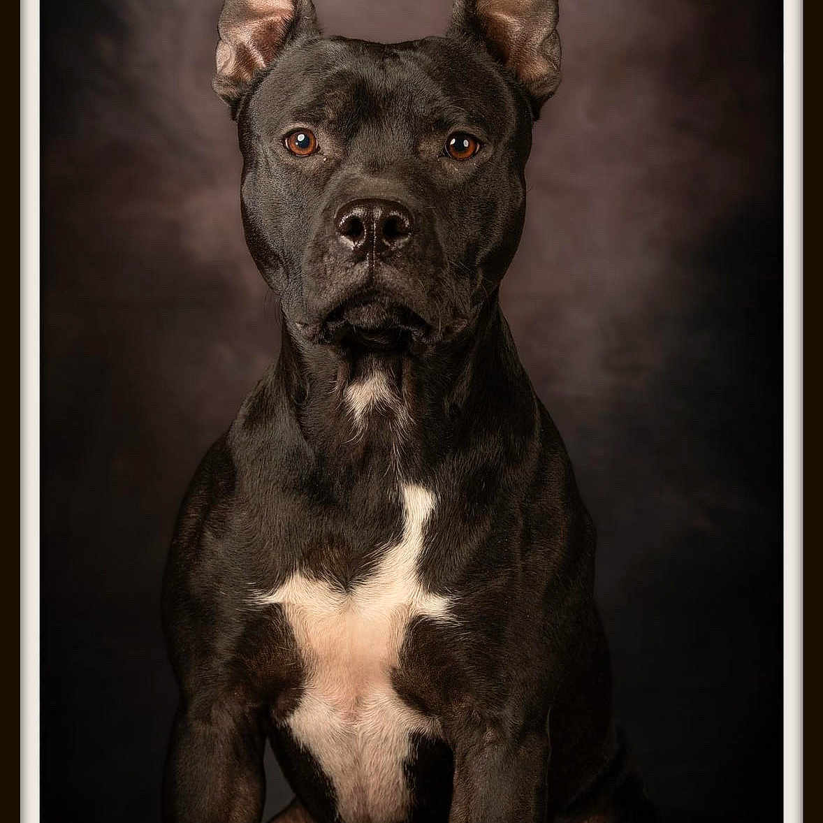 Tyson