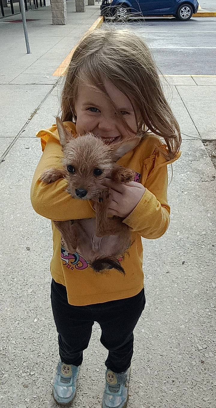 Violet joined the competition — help win amazing prizes! blond, carnivore, child, companion_dog, dog, dog_breed, fawn, fun, fur, gesture, hair, happy, head, joy, organ, person, road_surface, sleeve, smile, snout