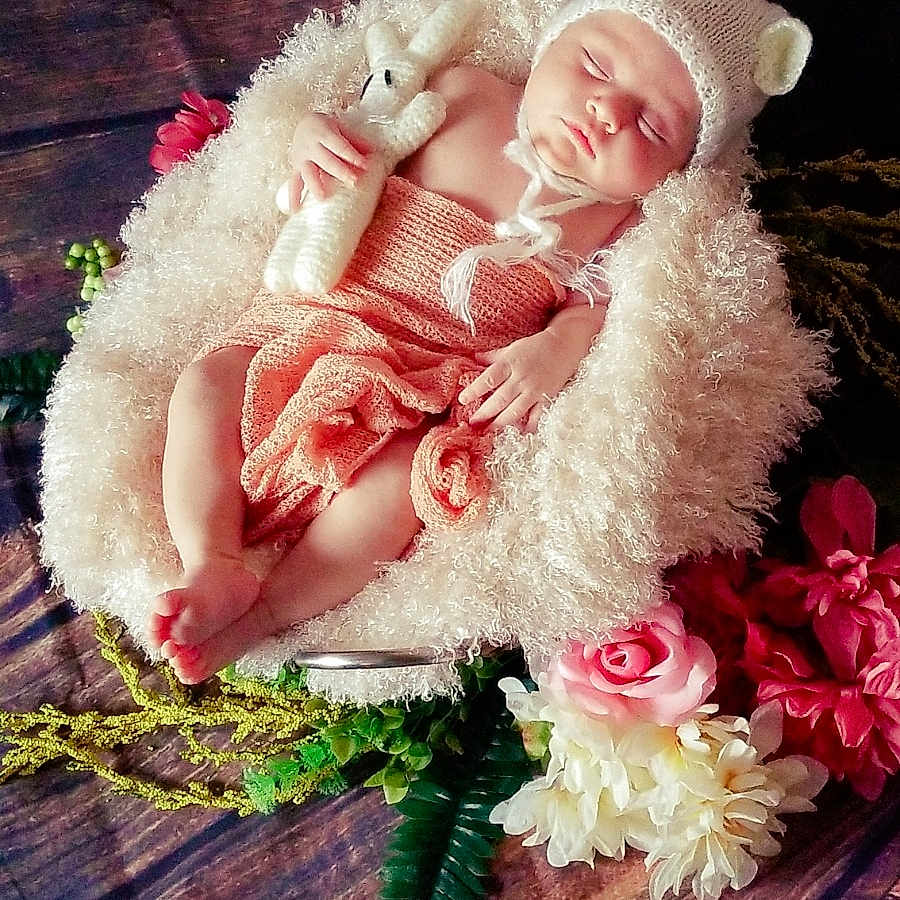 Antonella is registered to the contest to win money with this photo: cut_flowers, doll, flower, flower_bouquet, infant, person, petal, pink, rose, rose_family, rose_order