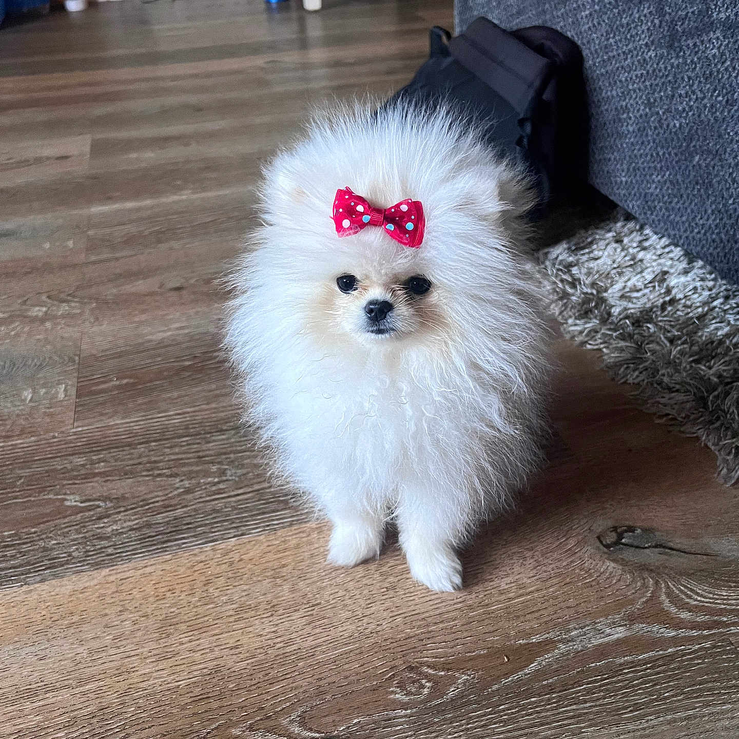 Maggie