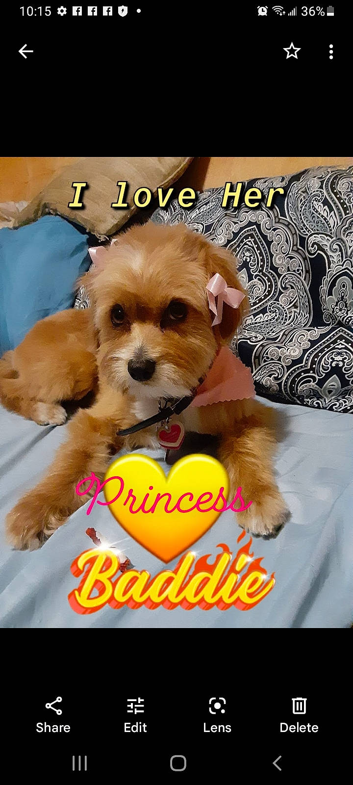 Princess