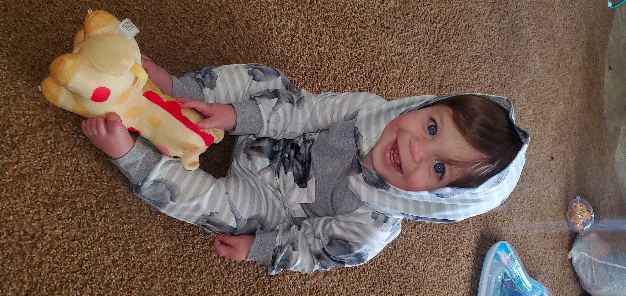 Grayson joined the competition — help win amazing prizes! baby, child, fun, joy, leg, person, play, sitting, toddler