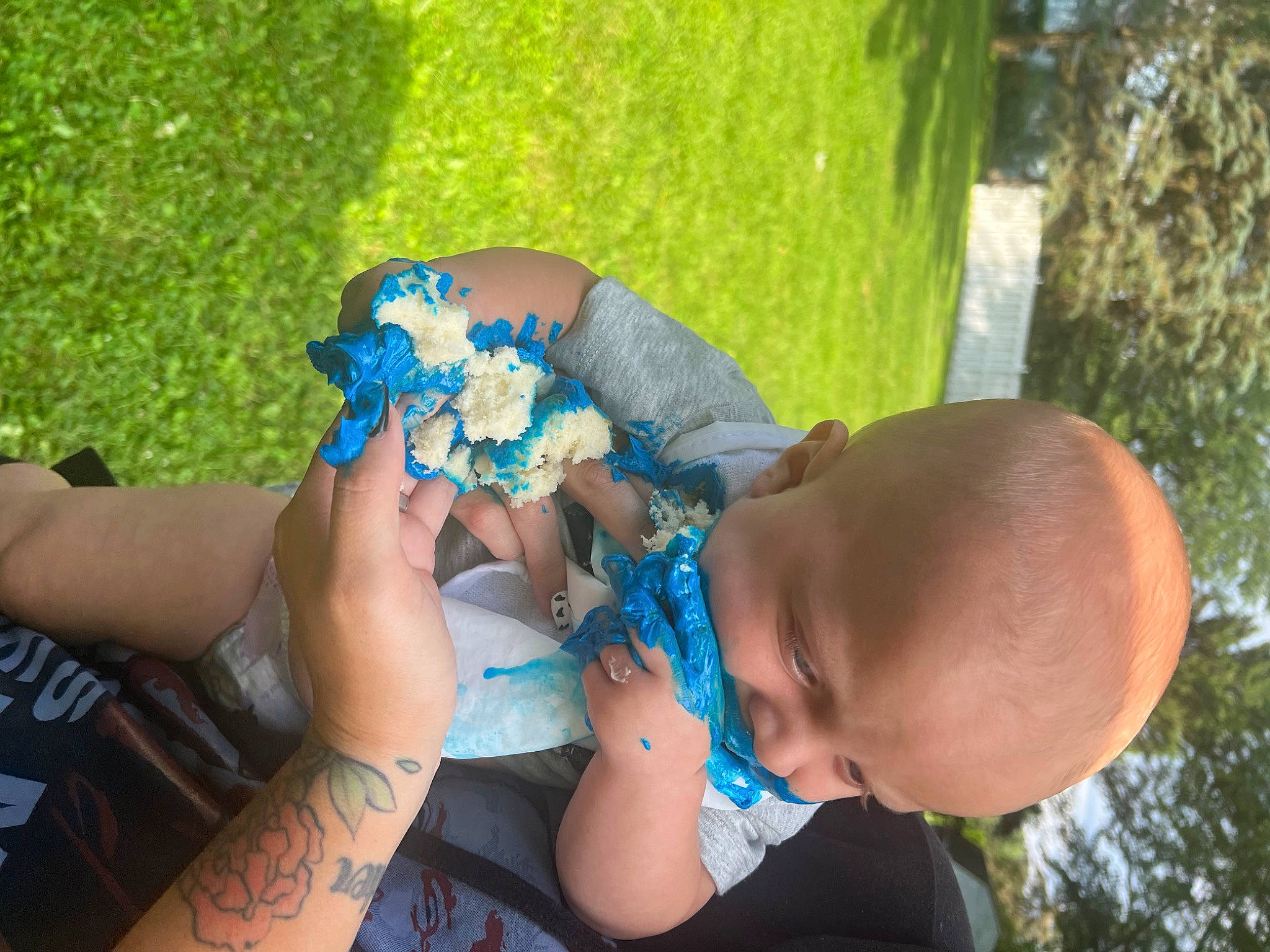 Brexston joined the competition — help win amazing prizes! arm, azure, baby_toddler_clothing, electric_blue, event, finger, flower, fun, grass, green, hand, happy, hat, interaction, leaf, people_in_nature, person, plant, rose, toddler