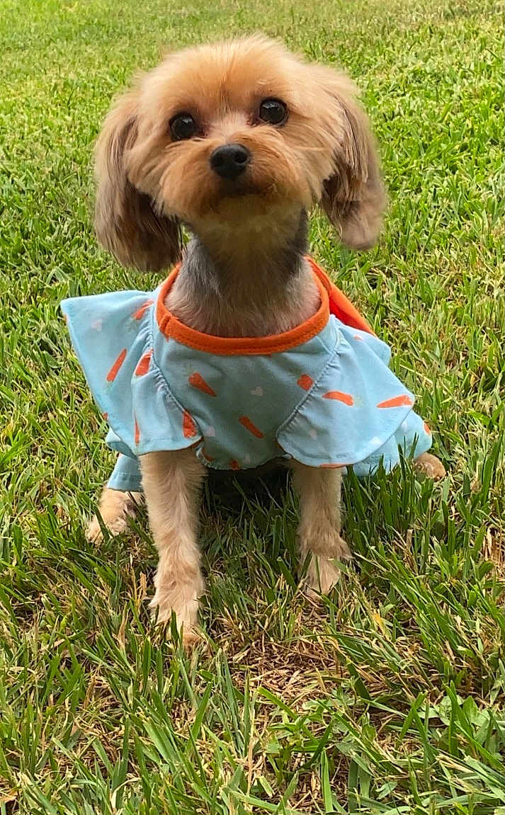 Chloe
