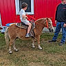 Brytton is registered to the contest to win money with this photo: adult, animal, barn, casual_clothing, child, daylight, farm, grass, hat, horse, outdoor, person, pony, red_barn, reins, riding, shorts, sneakers, tshirt, window