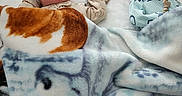 Lukah And Landon is registered to the contest to win money with this photo: newborn, baby, sleeping, blanket, pacifier, diaper, bed, soft_texture, infant, cute, peaceful, resting, clothing, indoors, twin, babies, comfort, cozy, child, portrait