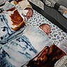 newborn, baby, sleeping, blanket, crib, plush_toy, lion_toy, animal_print, bed, infant, child, cozy, resting, cute, soft_texture, patterned_sheet, nursery, peaceful, indoors, twin