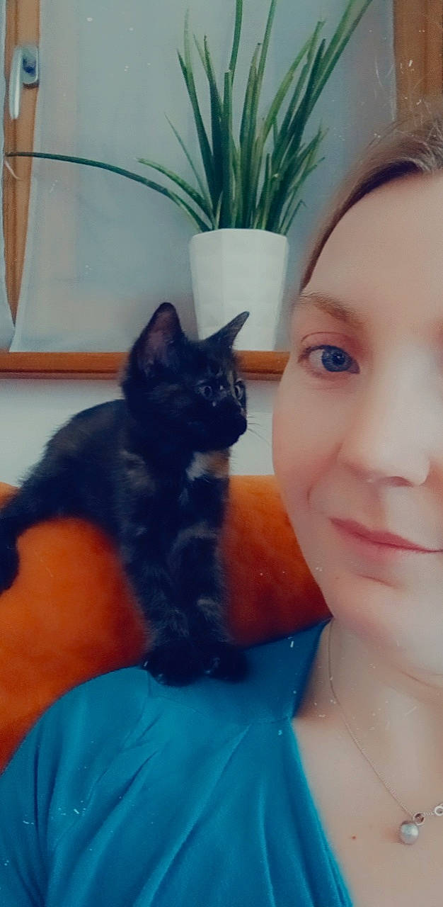 Myrtille a rejoint le concours — aidez-le/la à gagner de superbes lots ! carnivore, cat, comfort, ear, eye, eyelash, fawn, felidae, flowerpot, fur, gesture, happy, houseplant, iris, jaw, nose, plant, selfie, small_to_medium_sized_cats, whiskers