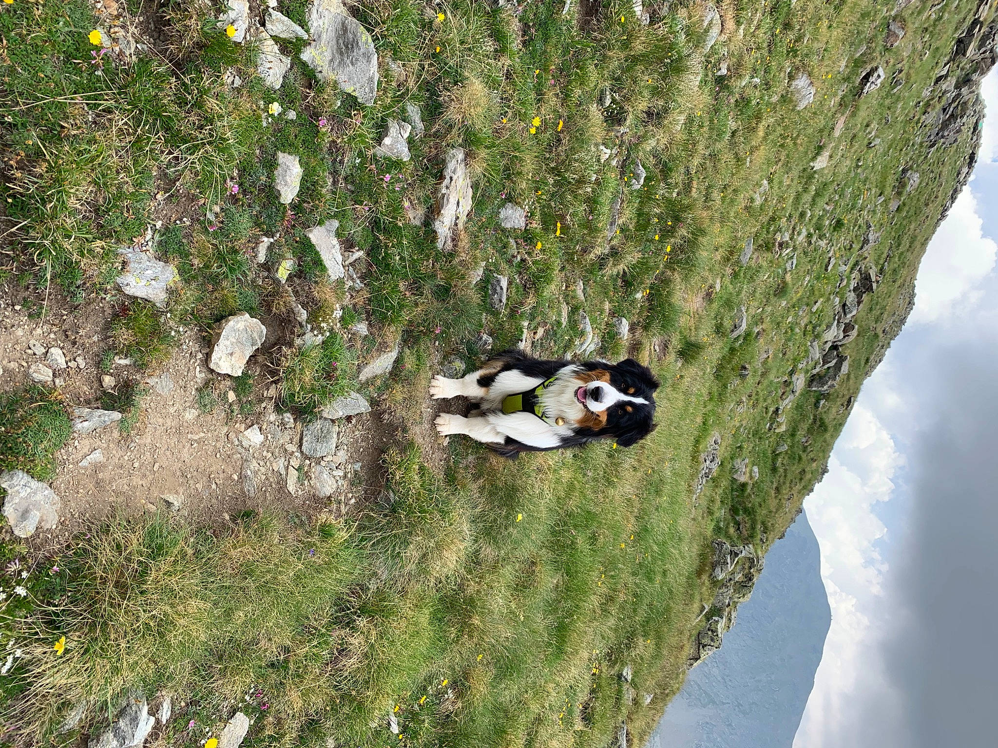 Stone a rejoint le concours — aidez-le/la à gagner de superbes lots ! adventure, cloud, extreme_sport, grass, grassland, landscape, leisure, nature, pasture, people_in_nature, plant, recreation, rock, shrub, sky, slope, soil, sport_climbing, tree, wood