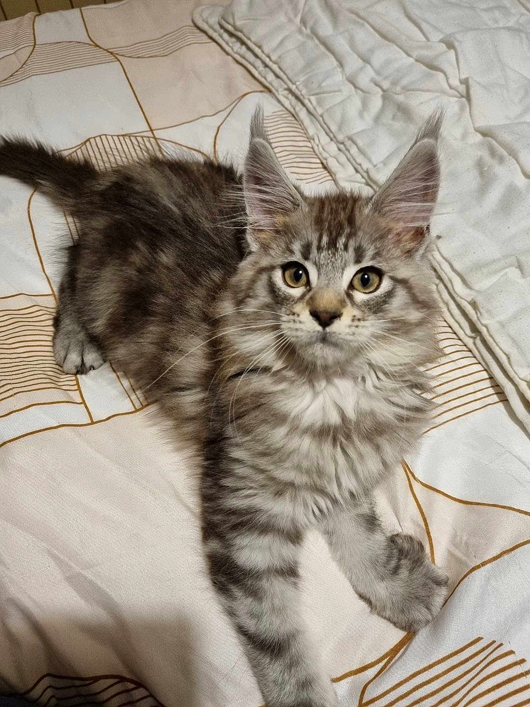 Saïko