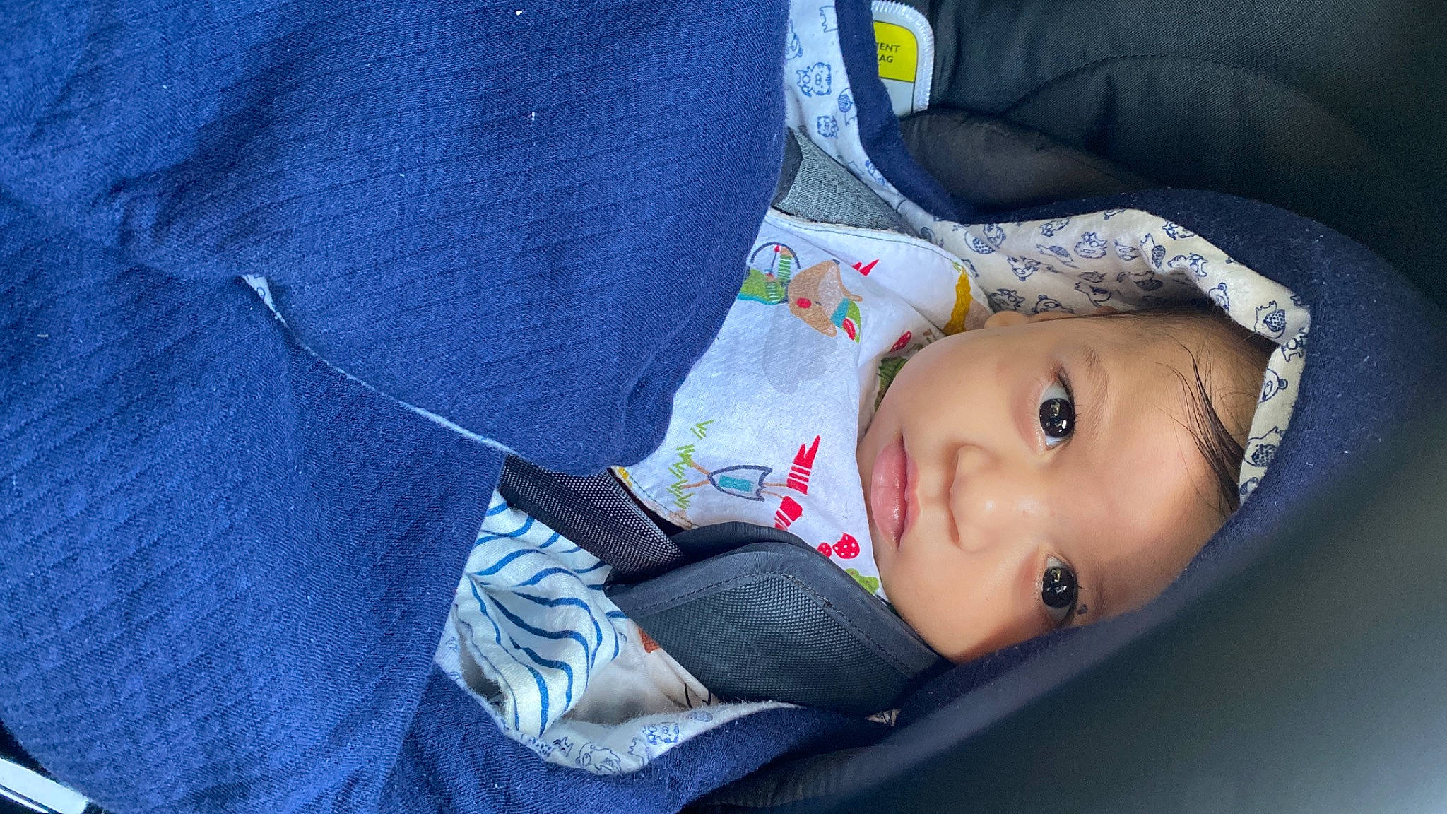 Timéo a rejoint le concours — aidez-le/la à gagner de superbes lots ! baby, baby_products, baby_toddler_clothing, cheek, child, comfort, denim, electric_blue, headwear, linens, pattern, person, sitting, sleeve, toddler, tree, winter, wood