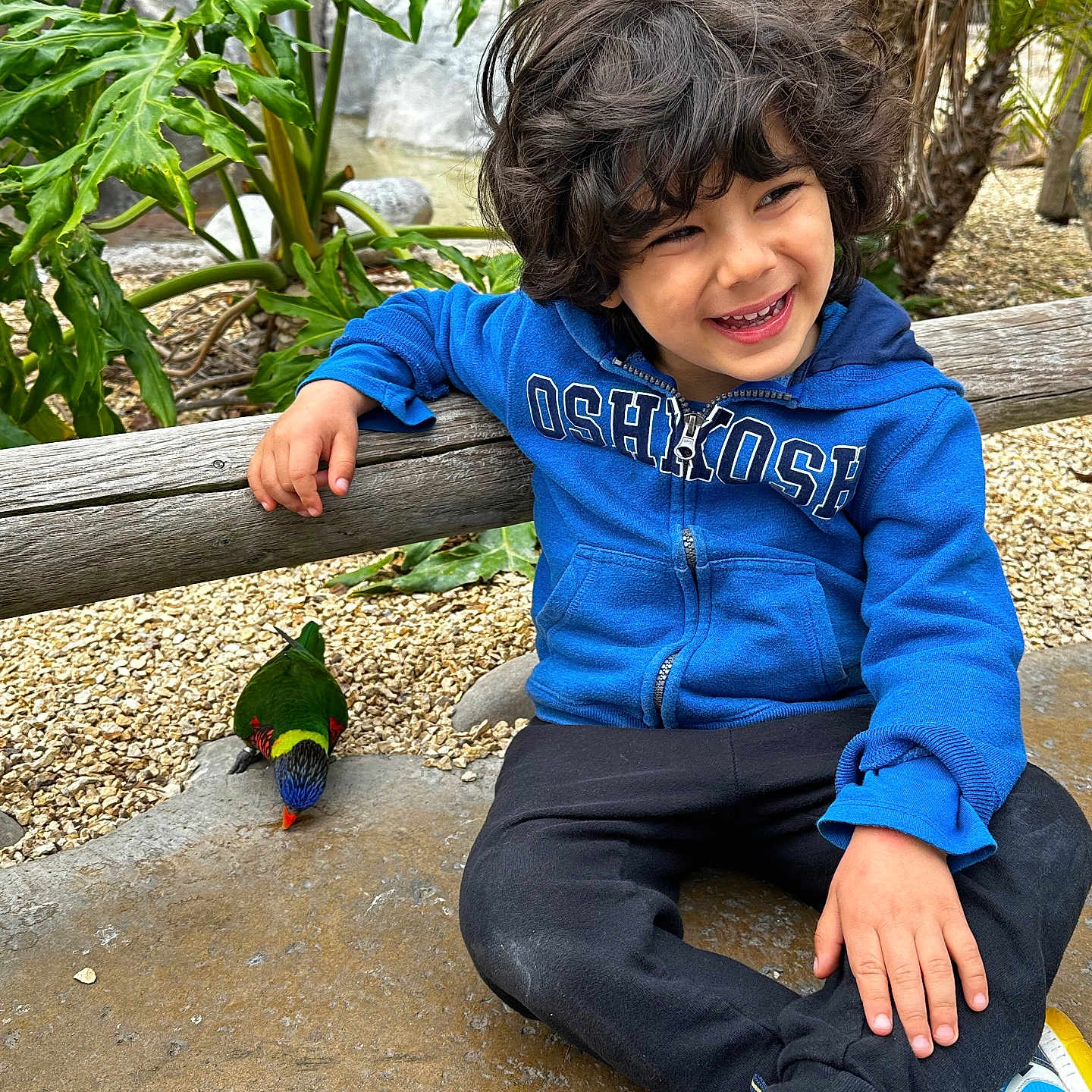 Kian is registered to the contest to win money with this photo: animal, beak, bird, boy, child, clothing, face, footwear, grass, head, male, pants, person, photography, plant, portrait, pottedplant, shoe, vegetation, zoo