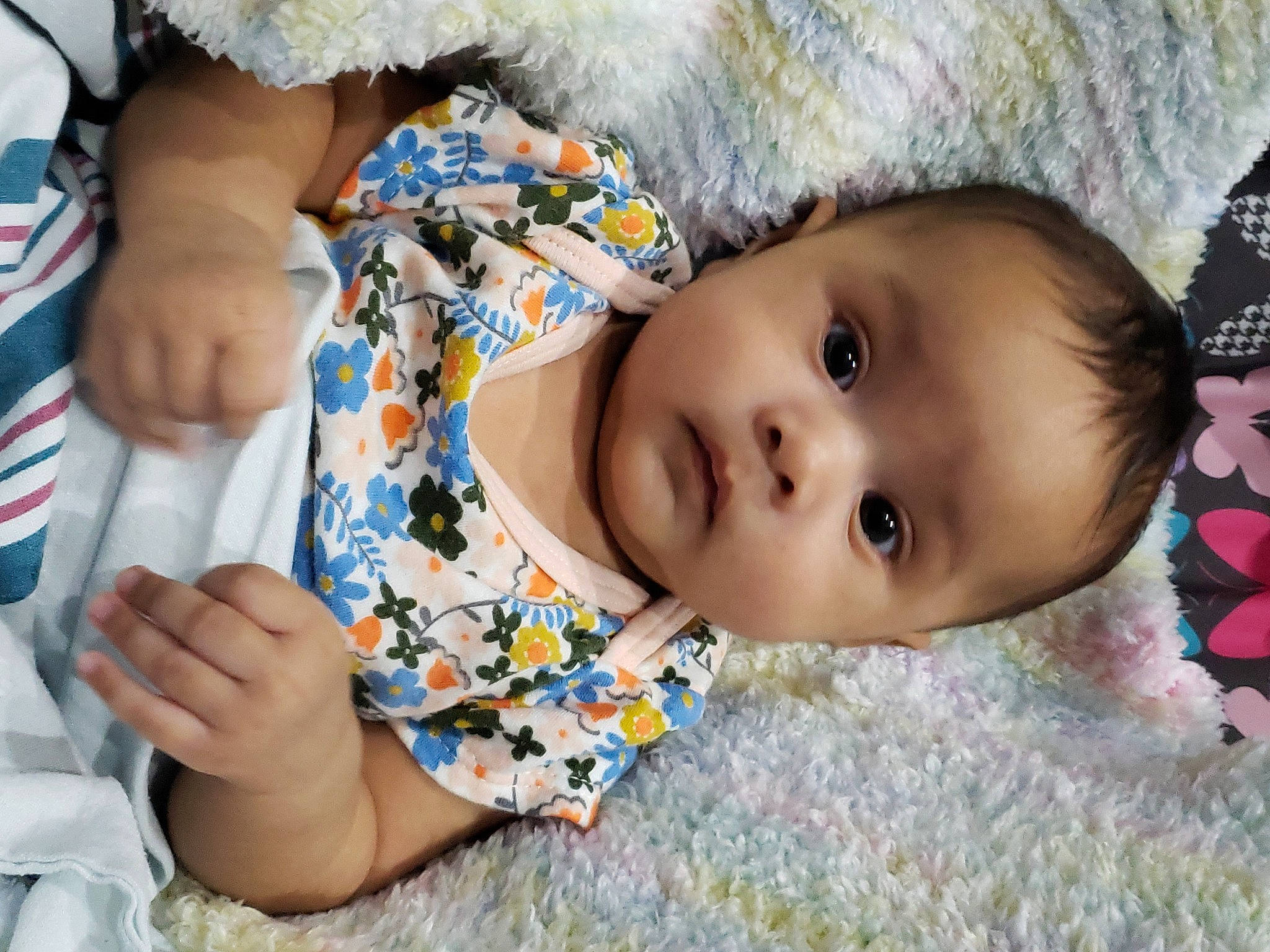 Indie joined the competition — help win amazing prizes! baby, baby_products, baby_toddler_clothing, cheek, child, eyelash, grass, happy, iris, linens, lip, nail, nose, pattern, person, portrait_photography, skin, thumb, toddler, vacation