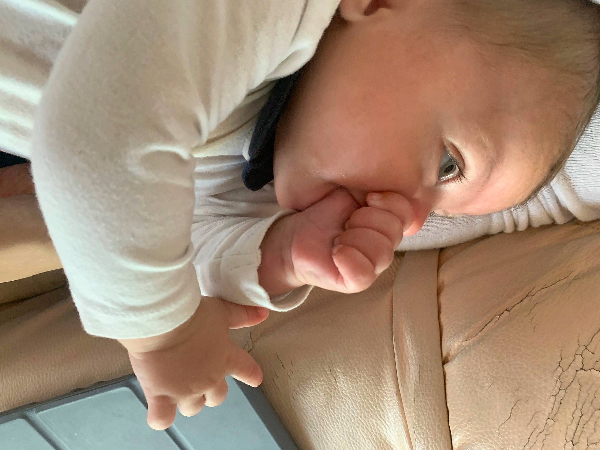 Mike participe au concours pour gagner de l'argent avec cette photo : baby, baby_sleeping, child, comfort, elbow, eyelash, finger, gesture, hand, linens, nail, nose, person, skin, sleeve, thumb, toddler, window, wood, wrinkle