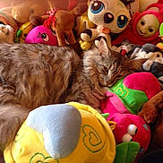 Mr Patate a rejoint le concours — aidez-le/la à gagner de superbes lots !