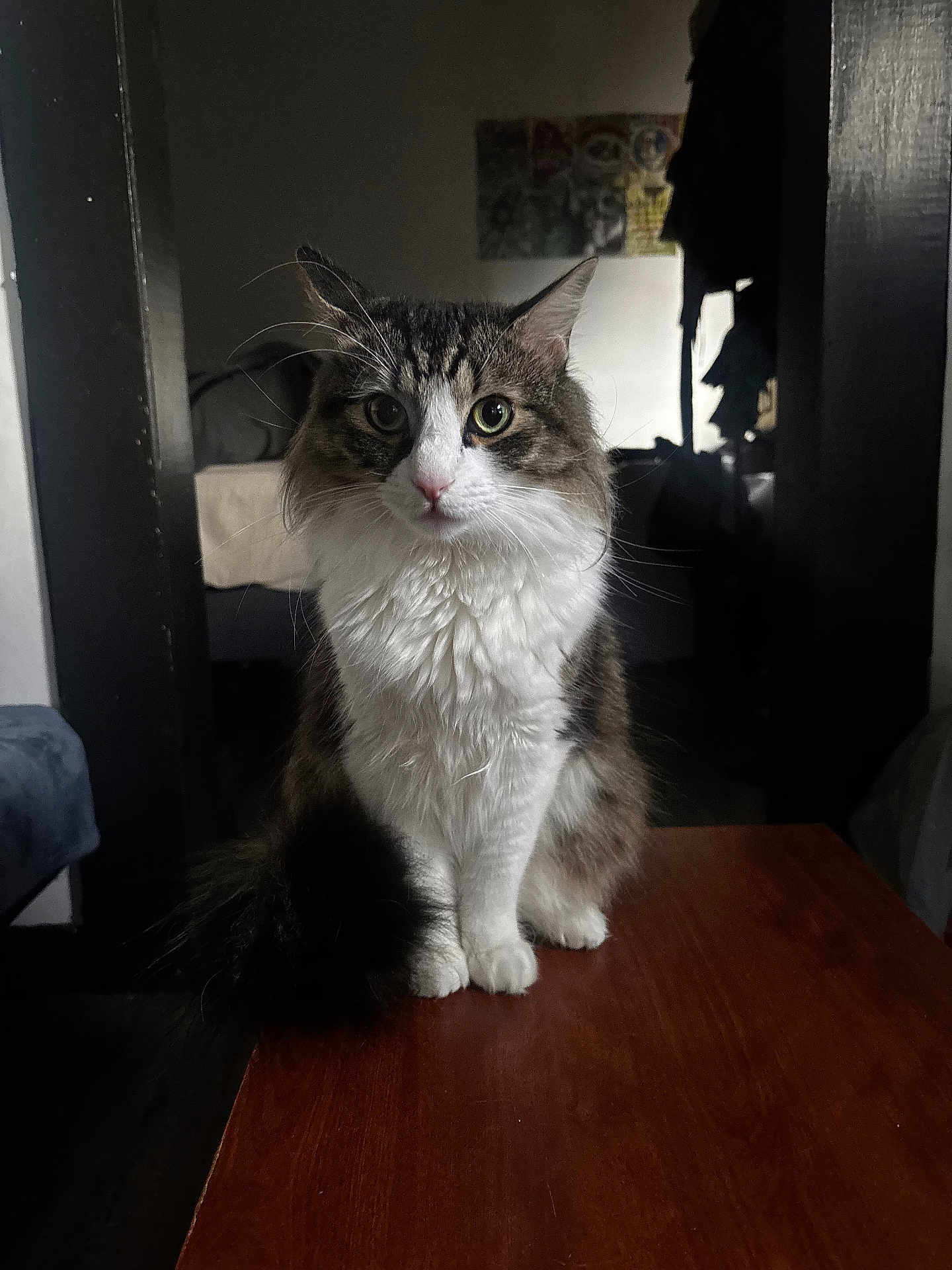Tuna