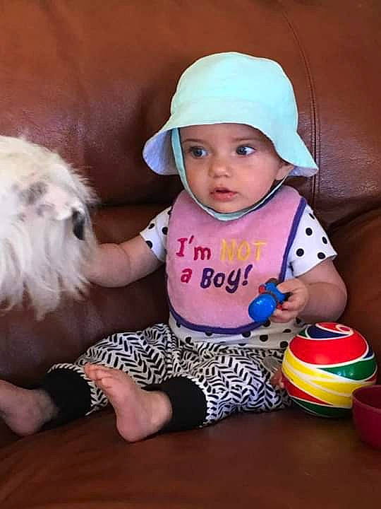 Maizey is registered to the contest to win money with this photo: baby, canidae, carnivore, child, companion_dog, dog, dog_breed, fawn, headgear, headwear, non_sporting_group, person, play, shih_tzu, sporting_group, toddler
