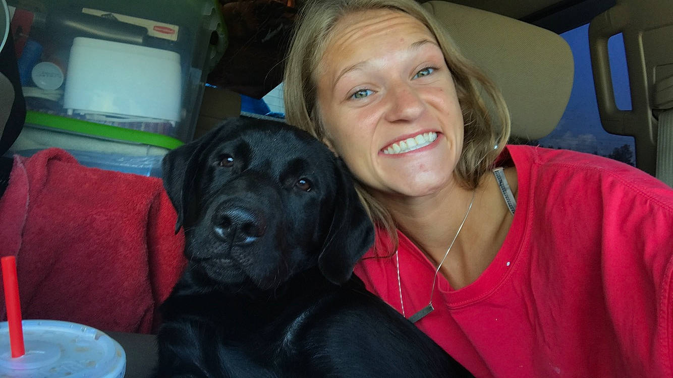 Stetson is registered to the contest to win money with this photo: beagador, canidae, carnivore, companion_dog, dog, dog_breed, fawn, guard_dog, labrador_retriever, puppy, retriever, skin, snout, sporting_group