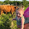 baby, child, person, outdoor, sunlight, greenery, cow, animal, fence, grass, nature, field, happy, smiling, portrait, arm, clothing, holding, daytime, sky