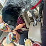 dog, vehicle_interior, ice_cream, drink, person, seat, leash, cup, food, center_console, car_seat, casual, summer, hand, treat, thirsty, black_and_white_dog, red_harness, ice, relaxed