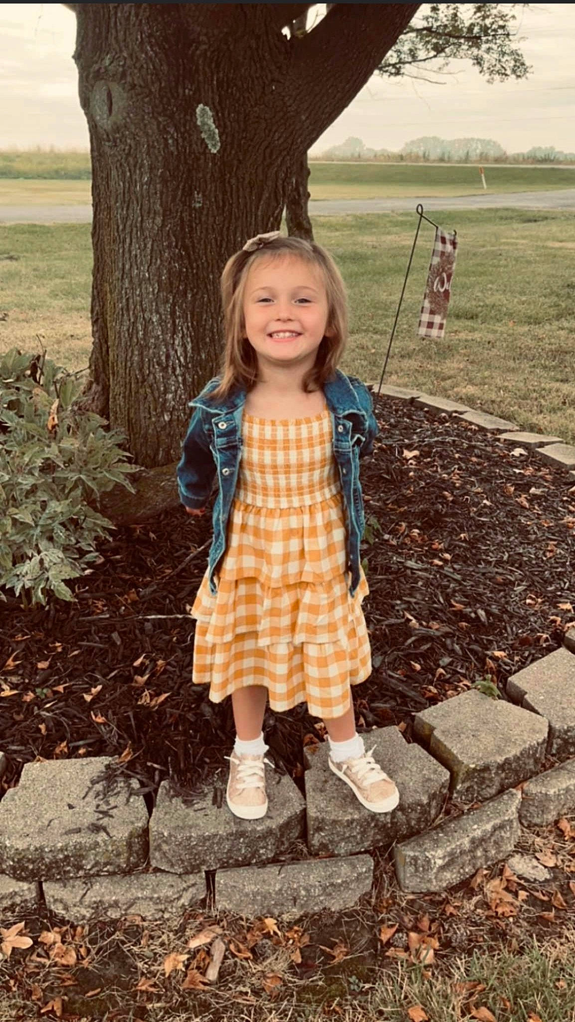 Taylyn joined the competition — help win amazing prizes! brown_hair, eye, fawn, fun, grass, hair, happy, head, joy, leisure, pattern, people, people_in_nature, person, photograph, plaid, plant, smile, tartan, toddler