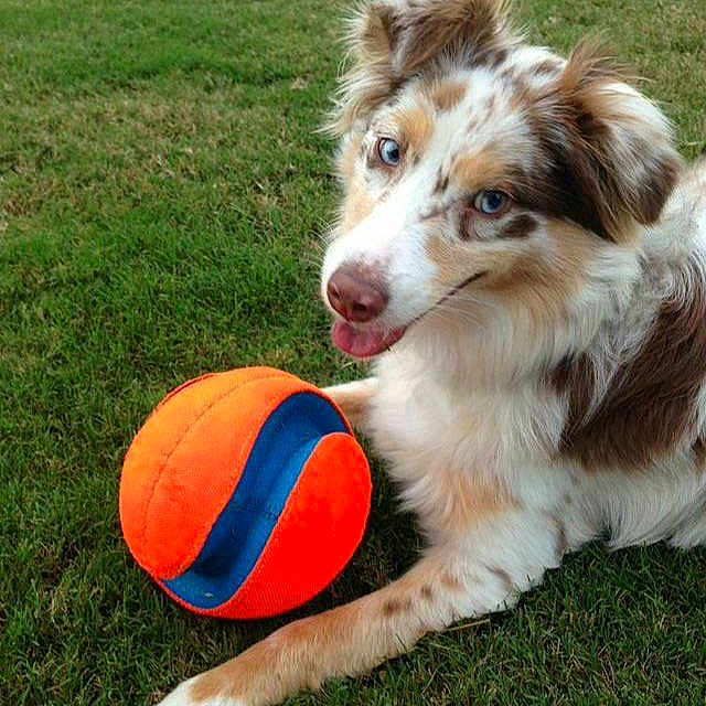 Luna is registered to the contest to win money with this photo: