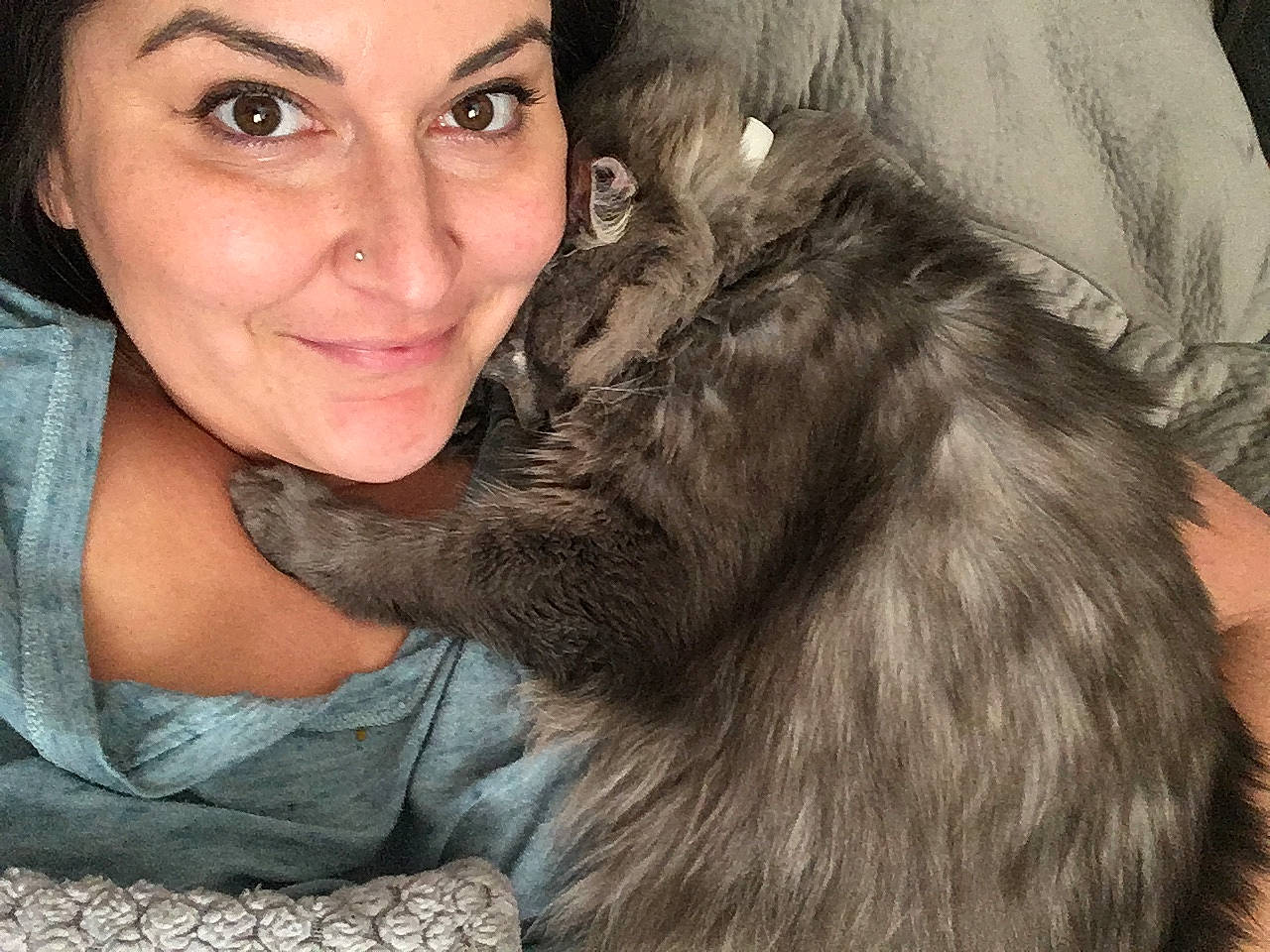 Gandalf is registered to the contest to win money with this photo: black_hair, brown_hair, carnivore, cat, domestic_long_haired_cat, ear, felidae, fur, gesture, hair, long_hair, norwegian_forest_cat, nose, siberian, skin, small_to_medium_sized_cats, smile, whiskers