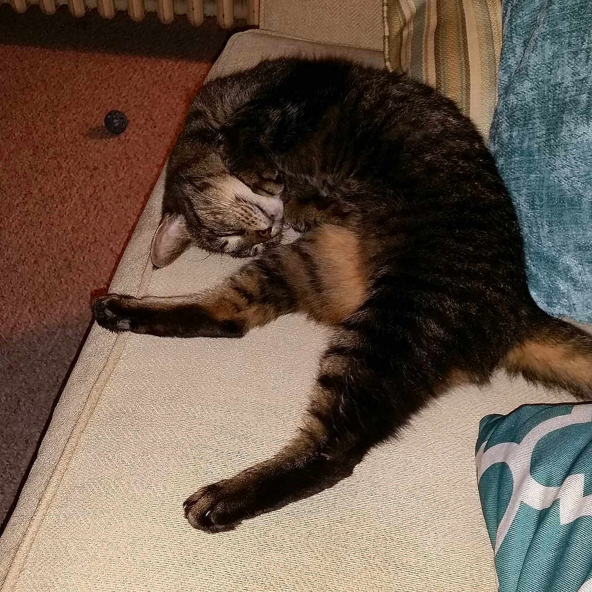 Paprika