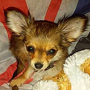 Lou participe au concours pour gagner de l'argent avec cette photo :