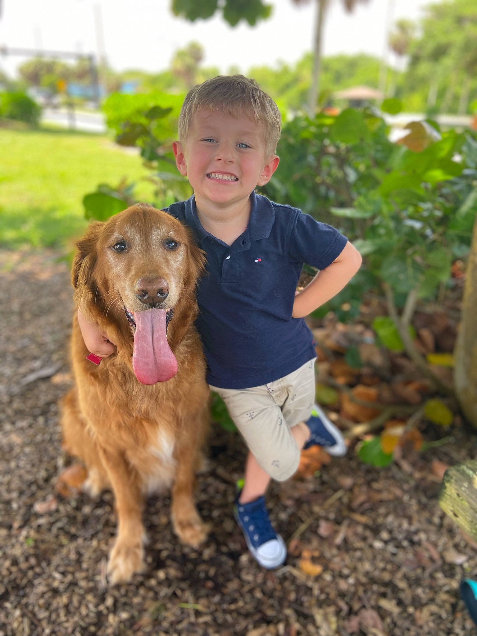 Mac joined the competition — help win amazing prizes! carnivore, companion_dog, dog, dog_breed, fawn, fun, grass, happy, landscape, leisure, people_in_nature, plant, recreation, sky, smile, sneakers, soil, sporting_group, toddler, tree