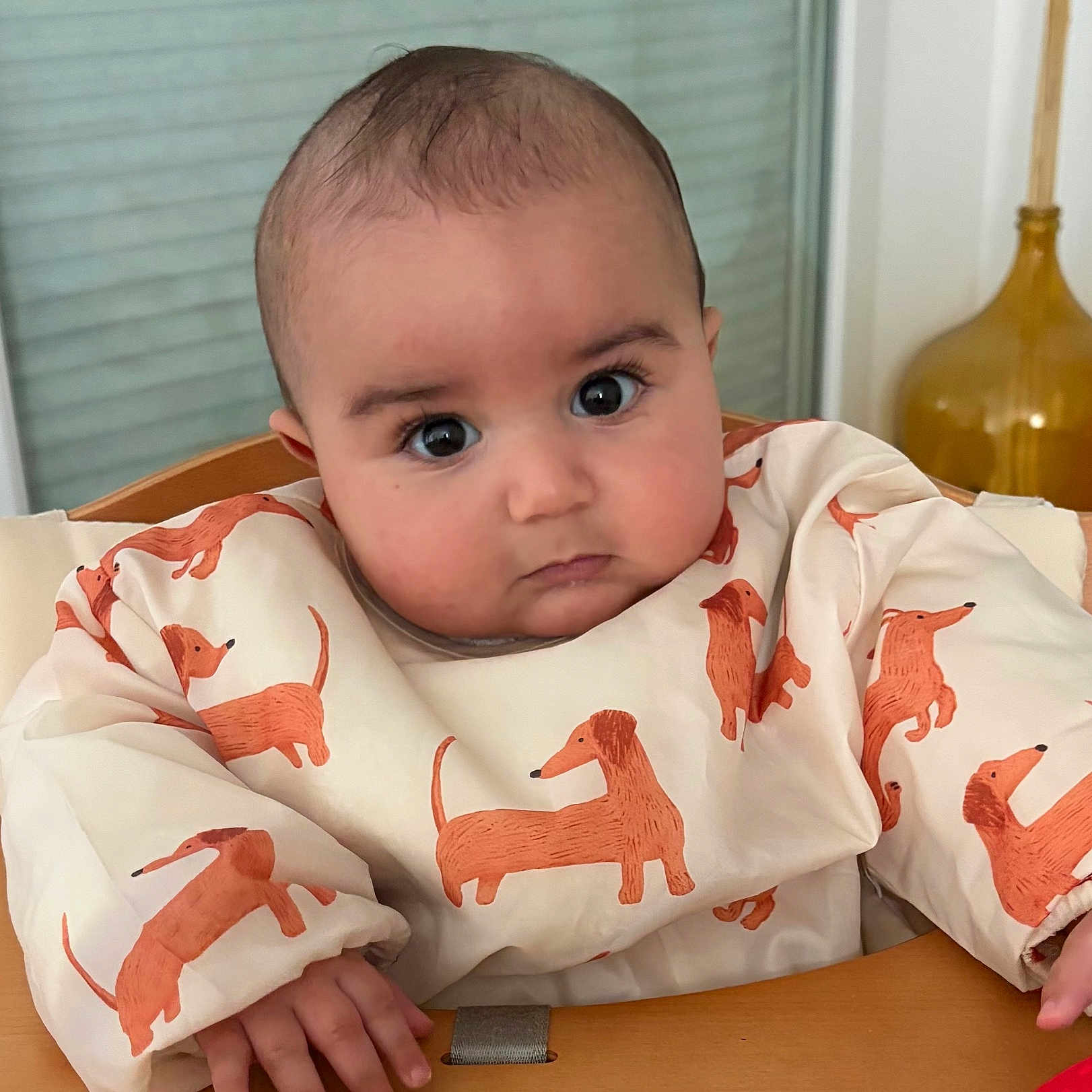 Sohan a rejoint le concours — aidez-le/la à gagner de superbes lots ! baby, child, high_chair, bib, dachshund_pattern, orange, wooden_furniture, indoor, person, face, wide_eyes, serious_expression, hand, clothing, table, window, decor, bottle, cute, portrait