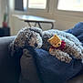 blanket, couch, cozy, curly_hair, cute, dog, fur, home, indoor, natural_light, nose, paw, pet, plush_toy, relaxing, resting, sleeping, soft, stuffed_animal, window