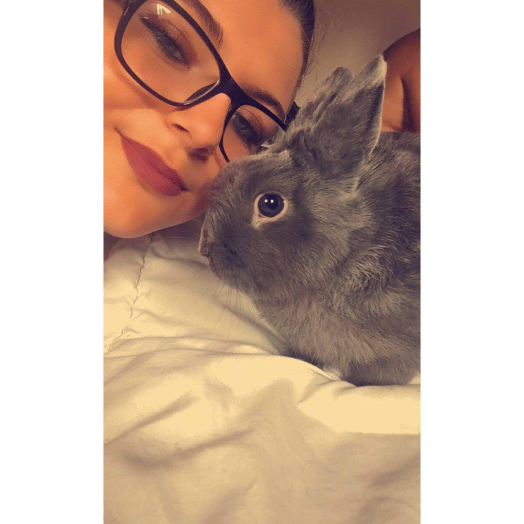 Lapinou participe au concours pour gagner de l'argent avec cette photo : comfort, domestic_rabbit, ear, eyelash, eyewear, fawn, fur, glasses, happy, hare, mountain_cottontail, rabbit, rabbits_and_hares, rodent, selfie, snout, terrestrial_animal, vision_care, whiskers, wildlife
