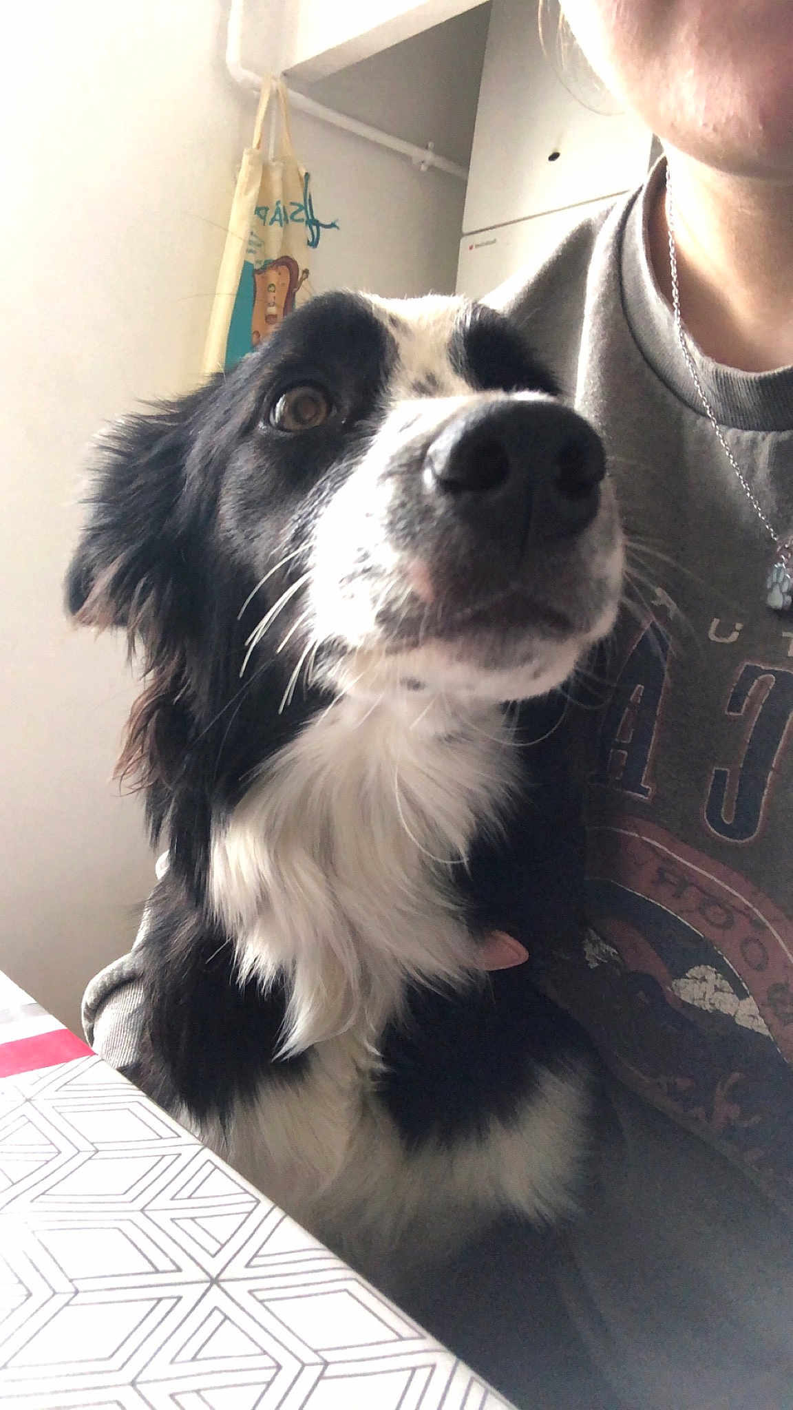Gina