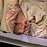 baby, sleeping, crib, blanket, soft, cozy, infant, nap, cute, child, comfort, resting, indoors, peaceful, furniture, cushion, toddler, skin, head, arm