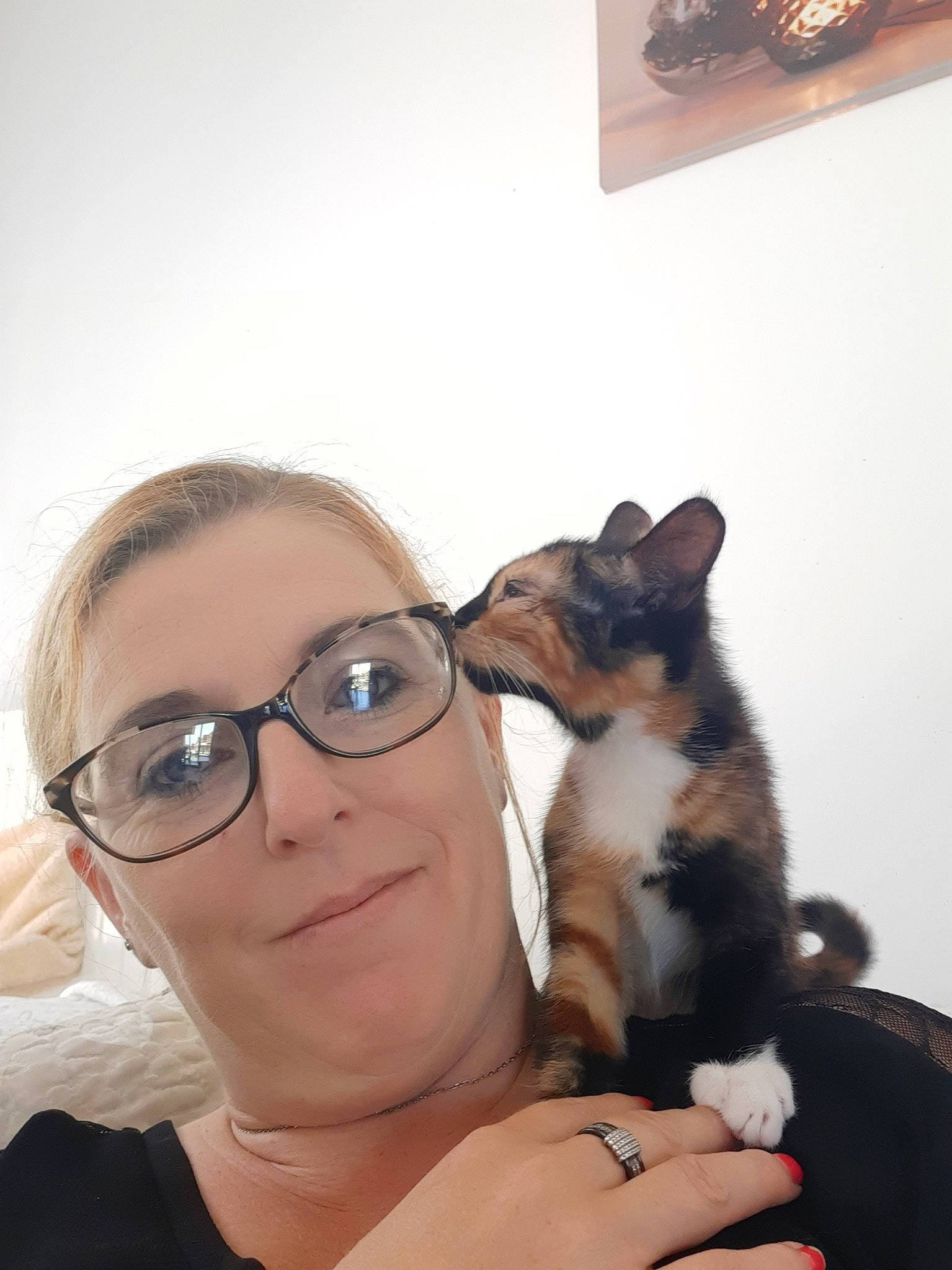 Rosalie participe au concours pour gagner de l'argent avec cette photo : canidae, carnivore, cat, ear, eye, eyewear, fawn, felidae, glasses, head, nose, shoulder, sitting, skin, small_to_medium_sized_cats, vision_care, whiskers